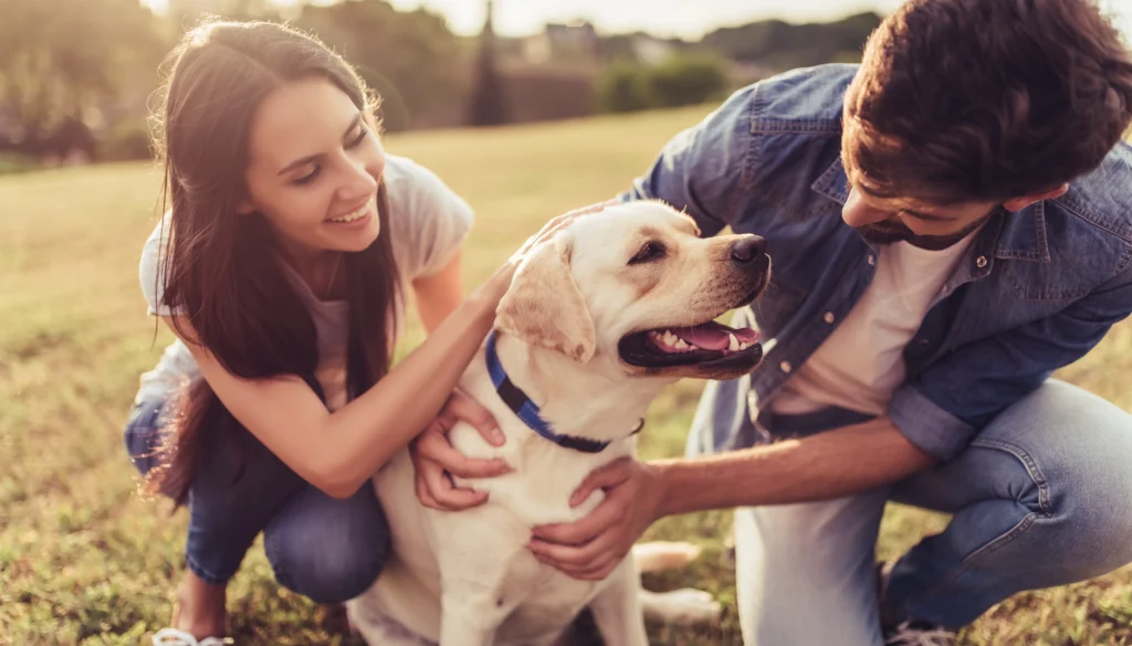 Couple sitting and petting their yellow Labrador after completing a board and train program