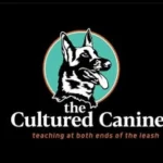 Changing the Culture